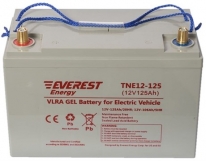 Аккумулятор Everest Energy TNE 12-125 (12V-C5/106А/ч, С20/125 А/ч) 330*171*214